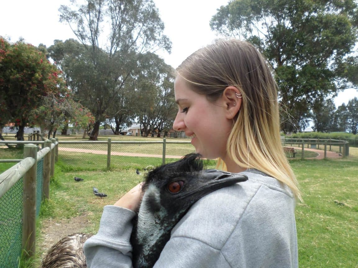 Sophie volunteering at Bunbury Wildlife Park in Western Australia, 2016 β kangaroos and wallabies, emus, cockatoos, lorikeets and a possum at the park, plus whale watching, wild giant stingrays, quokkas on Rottnest Island and the view over Perth