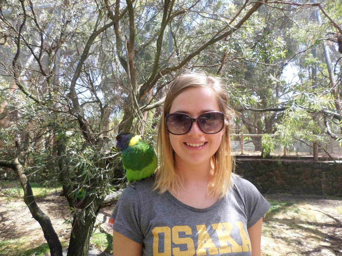 Sophie volunteering at Bunbury Wildlife Park in Western Australia, 2016 β kangaroos and wallabies, emus, cockatoos, lorikeets and a possum at the park, plus whale watching, wild giant stingrays, quokkas on Rottnest Island and the view over Perth