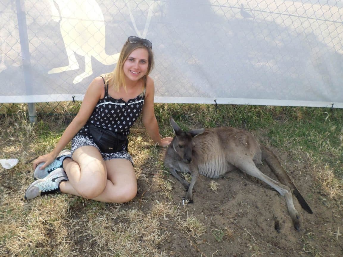 Sophie volunteering at Bunbury Wildlife Park in Western Australia, 2016 β kangaroos and wallabies, emus, cockatoos, lorikeets and a possum at the park, plus whale watching, wild giant stingrays, quokkas on Rottnest Island and the view over Perth