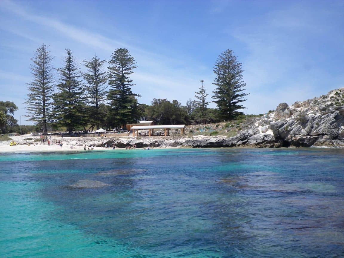 Sophie volunteering at Bunbury Wildlife Park in Western Australia, 2016 β kangaroos and wallabies, emus, cockatoos, lorikeets and a possum at the park, plus whale watching, wild giant stingrays, quokkas on Rottnest Island and the view over Perth