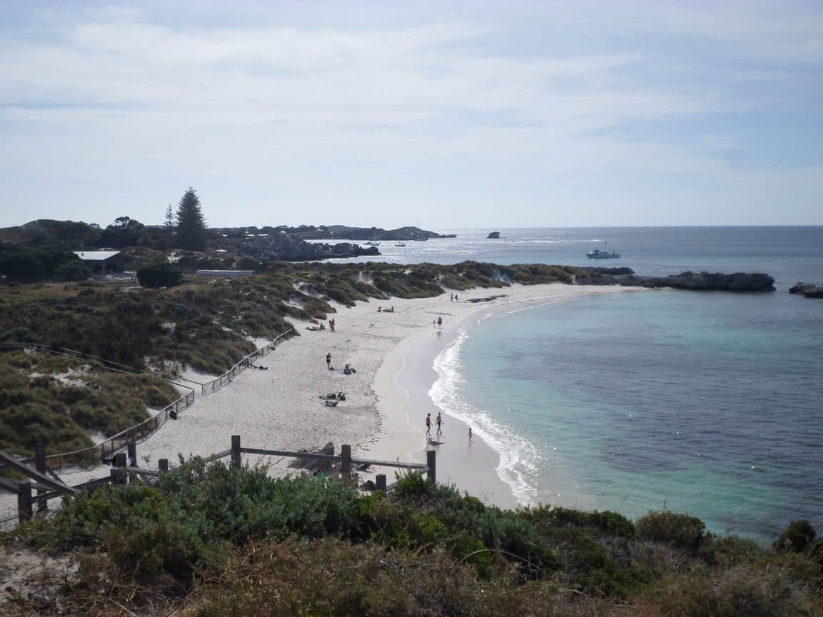 Sophie volunteering at Bunbury Wildlife Park in Western Australia, 2016 β kangaroos and wallabies, emus, cockatoos, lorikeets and a possum at the park, plus whale watching, wild giant stingrays, quokkas on Rottnest Island and the view over Perth