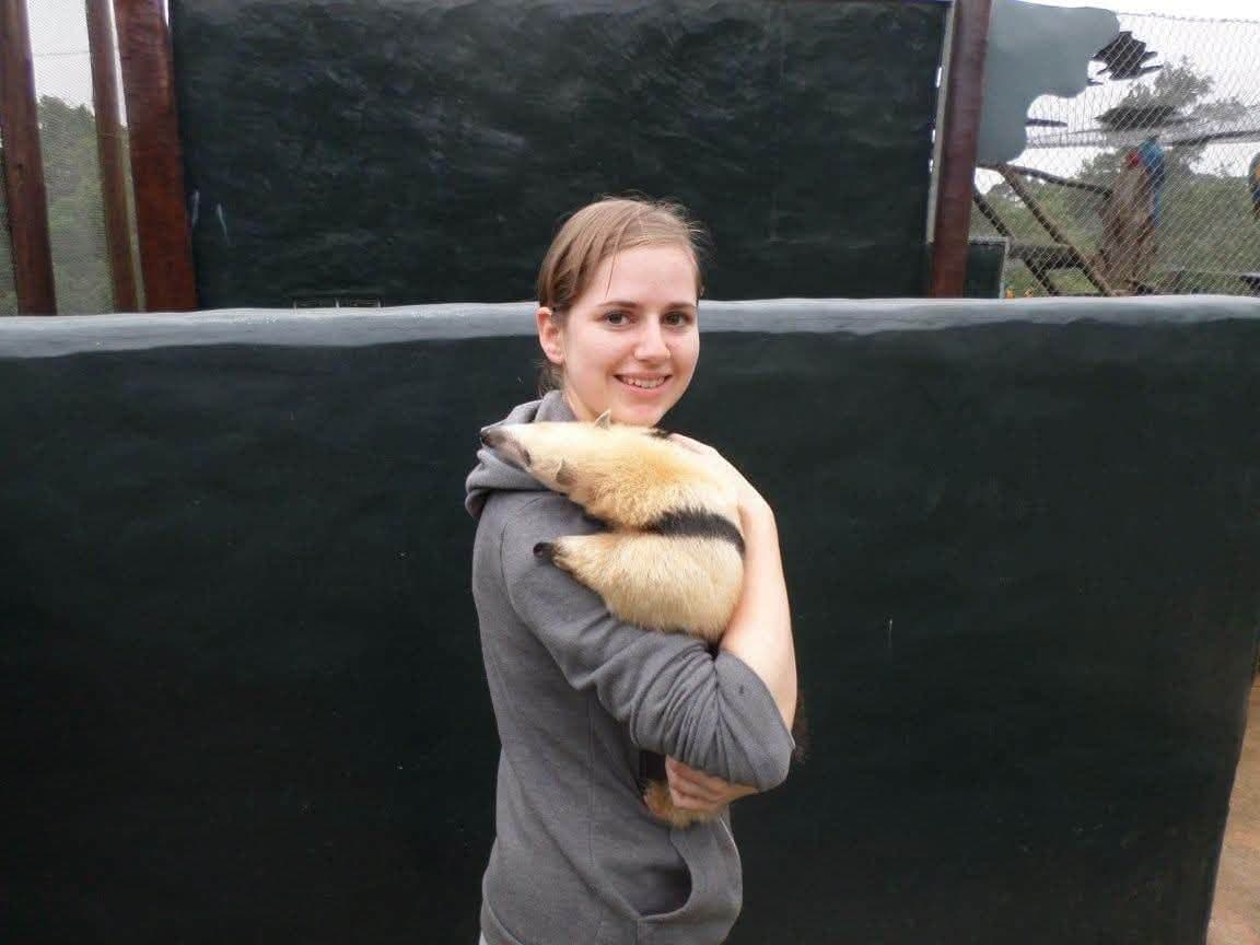 Sophie volunteering at Criadouro Onça Pintada in Paraná, Brazil, November 2015 — bottle-feeding a jaguar, caring for anteaters, toucans, pumas and ocelots, and planting a tree on the reserve
