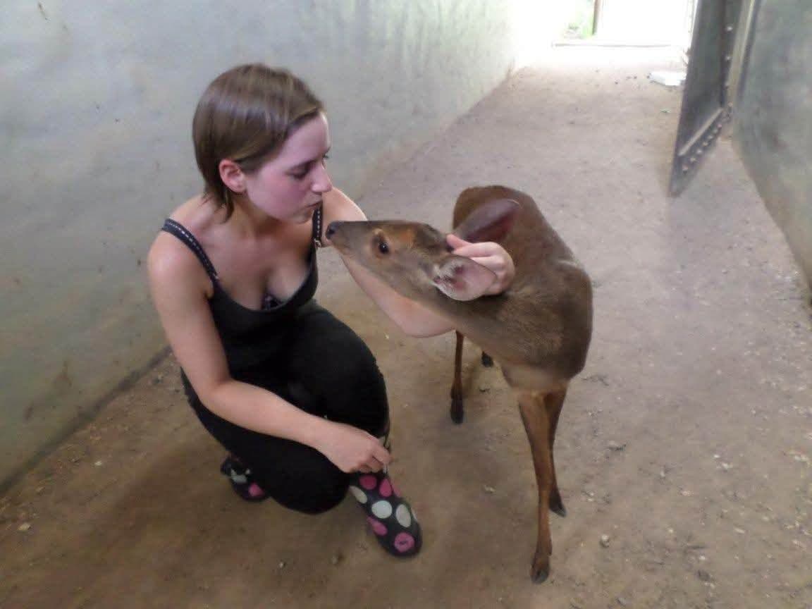 Sophie volunteering at Criadouro Onça Pintada in Paraná, Brazil, November 2015 — bottle-feeding a jaguar, caring for anteaters, toucans, pumas and ocelots, and planting a tree on the reserve