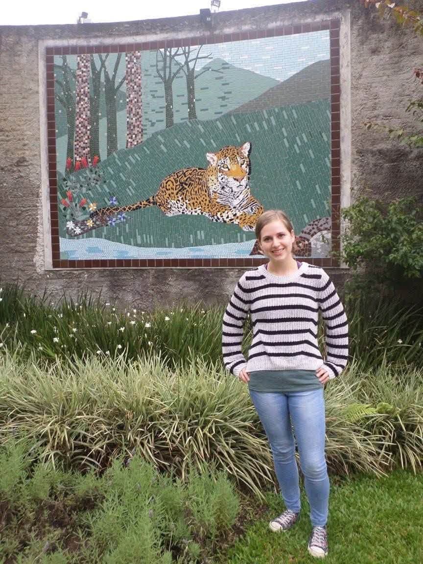 Sophie volunteering at Criadouro Onça Pintada in Paraná, Brazil, November 2015 — bottle-feeding a jaguar, caring for anteaters, toucans, pumas and ocelots, and planting a tree on the reserve