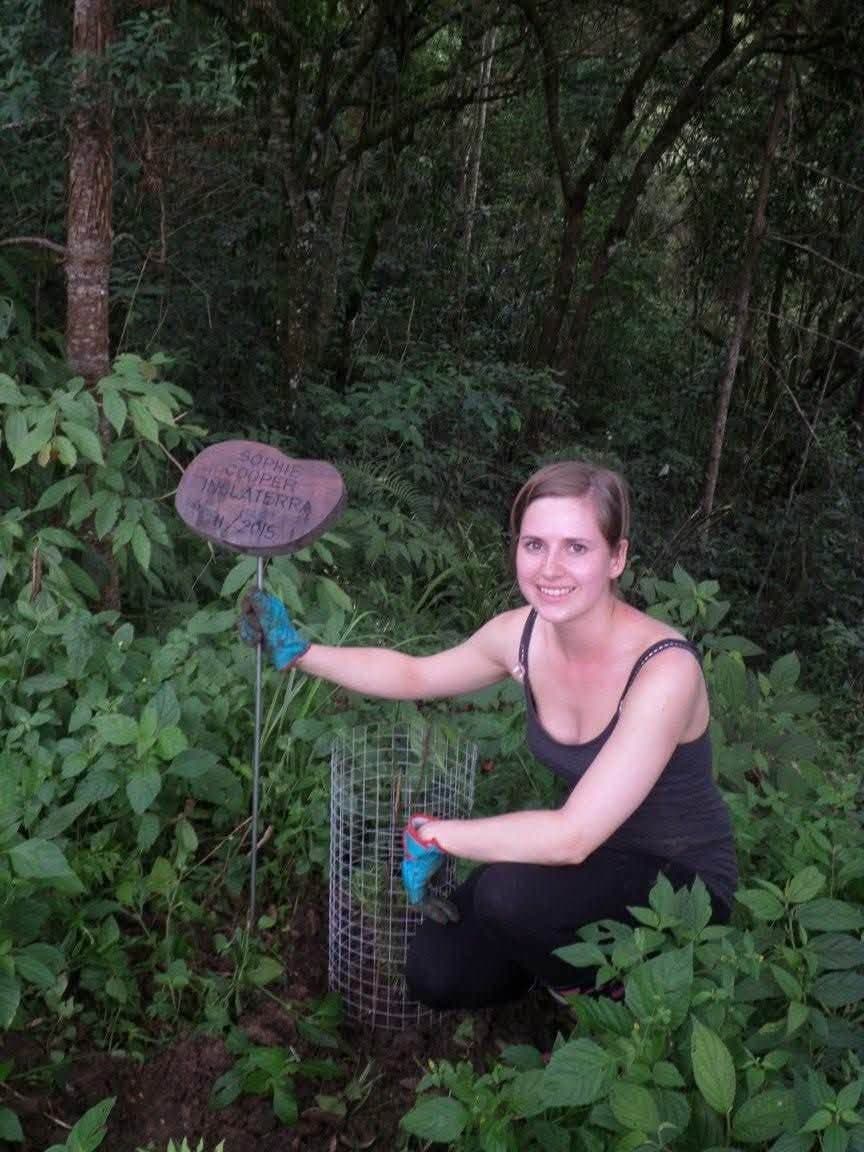 Sophie volunteering at Criadouro Onça Pintada in Paraná, Brazil, November 2015 — bottle-feeding a jaguar, caring for anteaters, toucans, pumas and ocelots, and planting a tree on the reserve