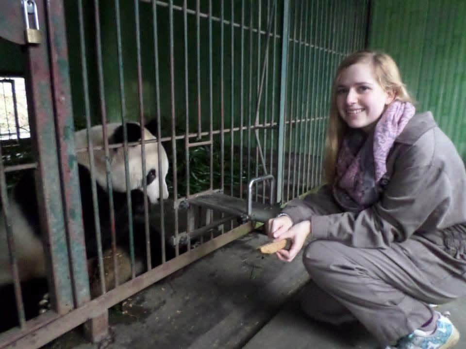 Sophie volunteering at the Chengdu Research Base of Giant Panda Breeding in November 2014 β feeding pandas, checking on cubs and exploring Sichuan with the volunteer team