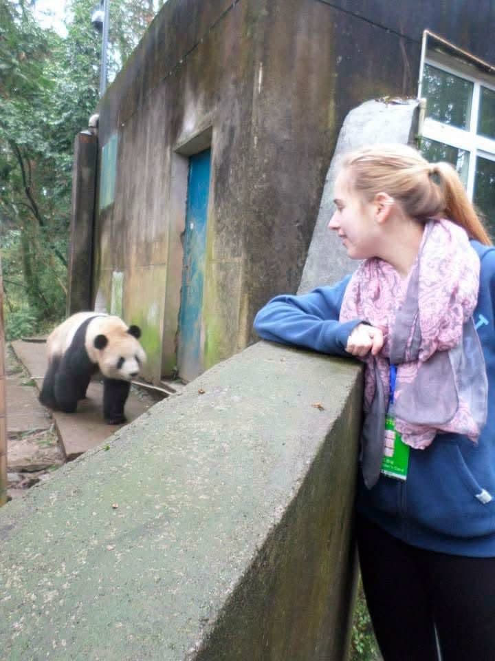 Sophie volunteering at the Chengdu Research Base of Giant Panda Breeding in November 2014 β feeding pandas, checking on cubs and exploring Sichuan with the volunteer team