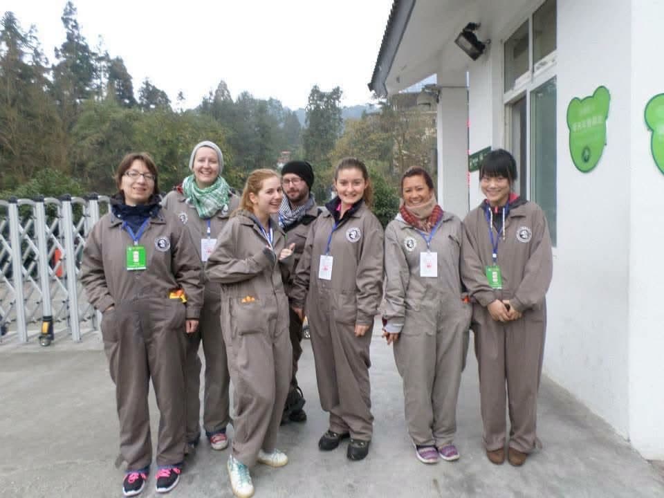 Sophie volunteering at the Chengdu Research Base of Giant Panda Breeding in November 2014 β feeding pandas, checking on cubs and exploring Sichuan with the volunteer team