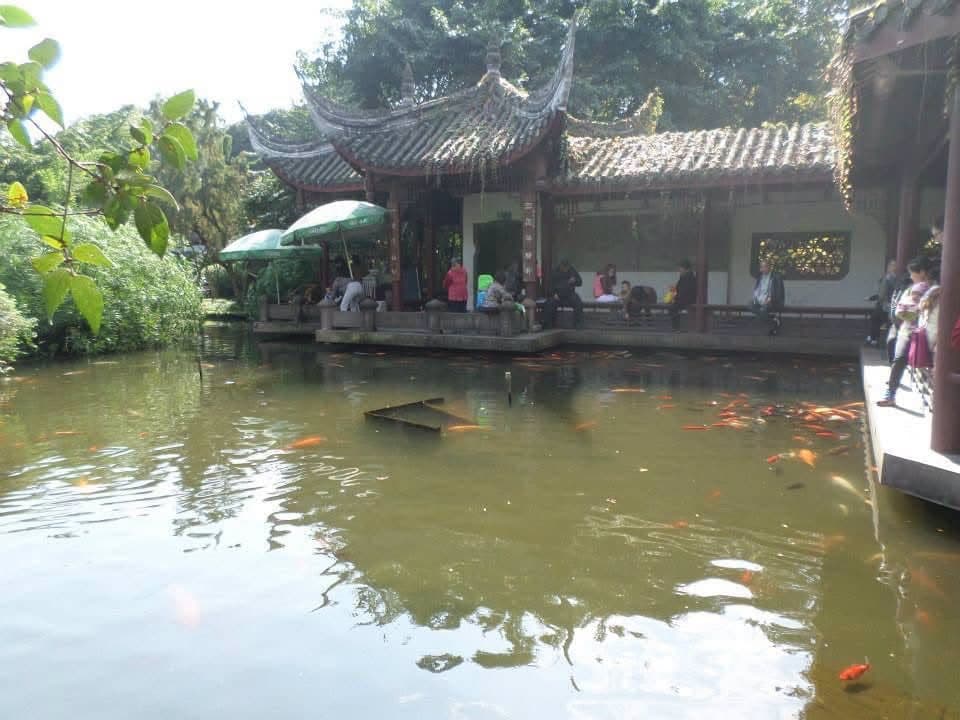 Sophie volunteering at the Chengdu Research Base of Giant Panda Breeding in November 2014 β feeding pandas, checking on cubs and exploring Sichuan with the volunteer team