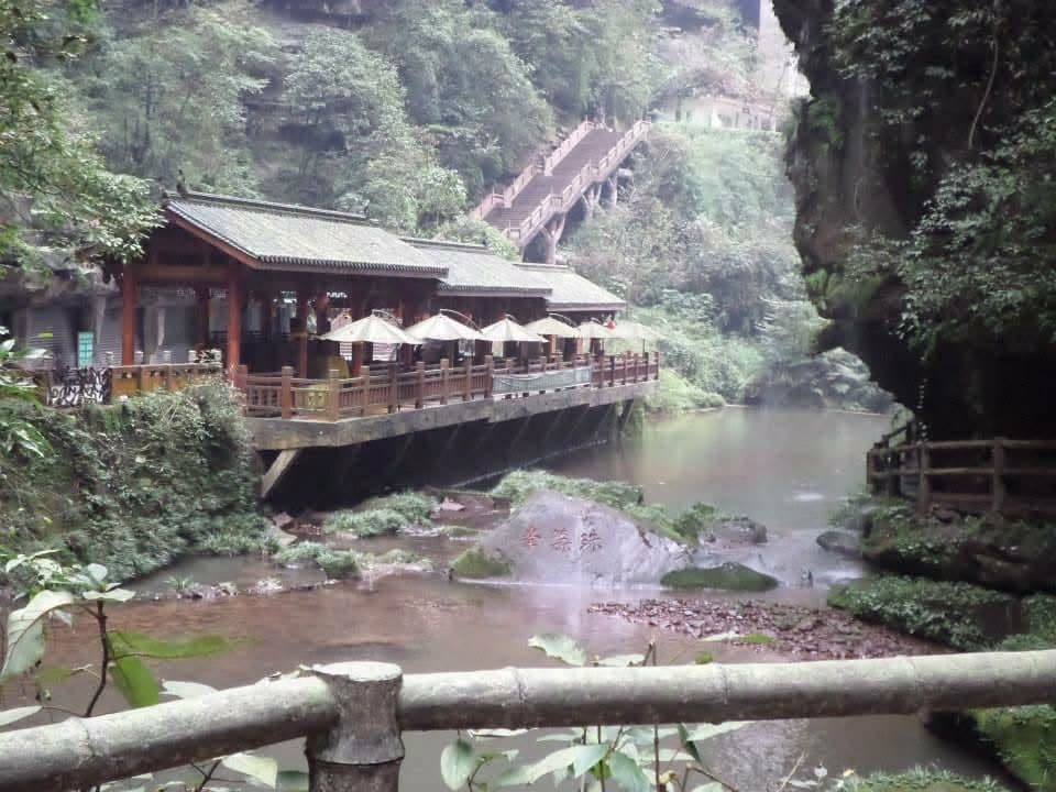 Sophie volunteering at the Chengdu Research Base of Giant Panda Breeding in November 2014 β feeding pandas, checking on cubs and exploring Sichuan with the volunteer team