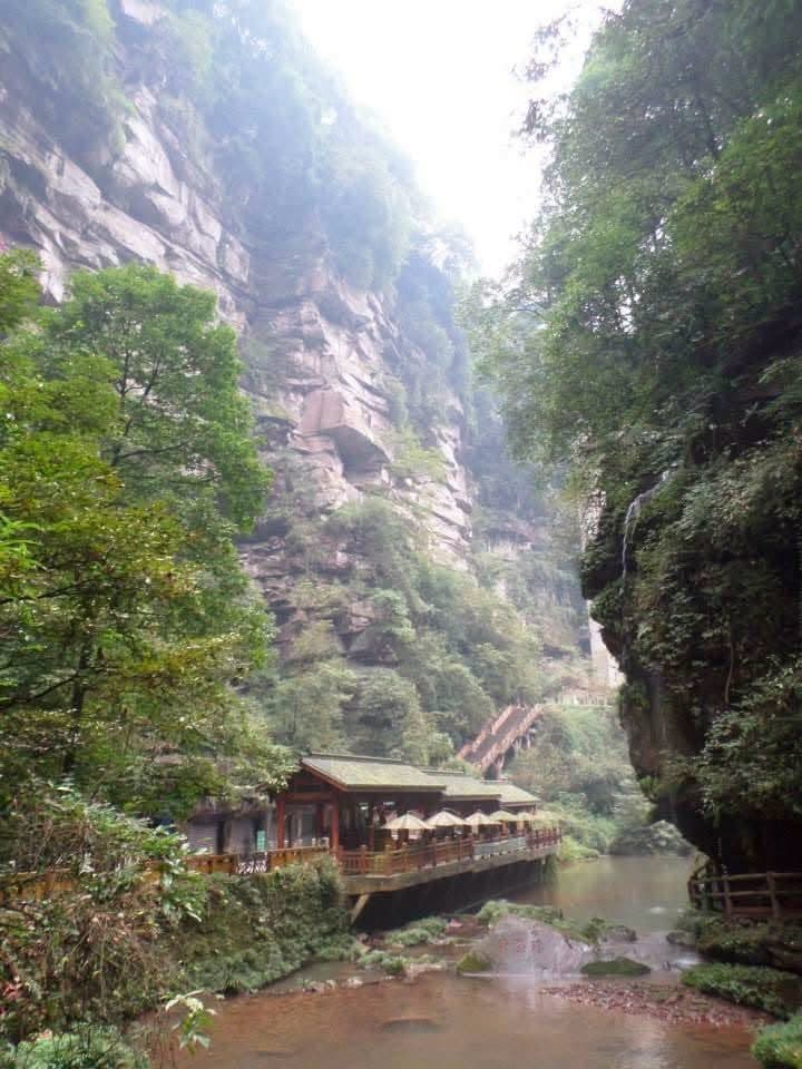Sophie volunteering at the Chengdu Research Base of Giant Panda Breeding in November 2014 β feeding pandas, checking on cubs and exploring Sichuan with the volunteer team