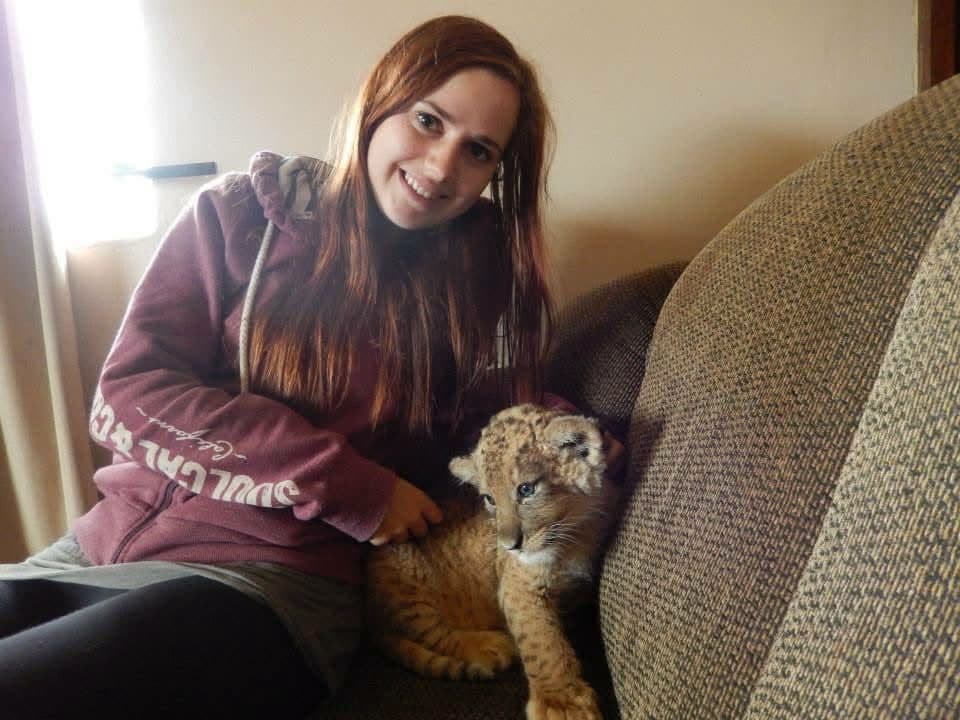 Sophie's first wildlife volunteering trip, on a reserve near Port Elizabeth, South Africa in 2013 β white and tawny lion cubs including Amara, rhinos, zebra, buffalo, waterbuck, blesbok, hippo and elephants at Addo Elephant National Park, plus bungee jumping, a meerkat and cage diving with great white sharks at Mossel Bay