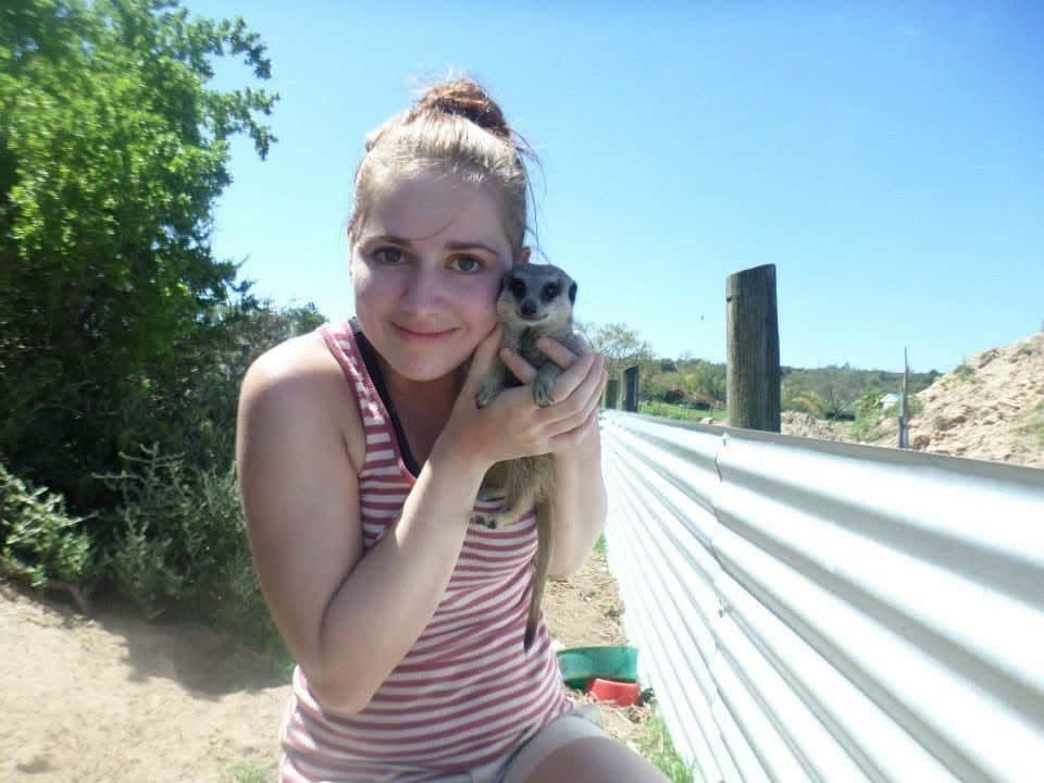 Sophie's first wildlife volunteering trip, on a reserve near Port Elizabeth, South Africa in 2013 β white and tawny lion cubs including Amara, rhinos, zebra, buffalo, waterbuck, blesbok, hippo and elephants at Addo Elephant National Park, plus bungee jumping, a meerkat and cage diving with great white sharks at Mossel Bay