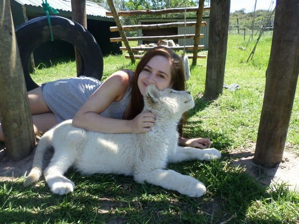 Sophie's first wildlife volunteering trip, on a reserve near Port Elizabeth, South Africa in 2013 β white and tawny lion cubs including Amara, rhinos, zebra, buffalo, waterbuck, blesbok, hippo and elephants at Addo Elephant National Park, plus bungee jumping, a meerkat and cage diving with great white sharks at Mossel Bay