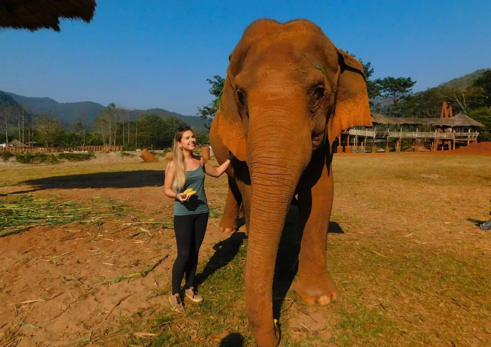 Paws Beyond Borders β Thailand πΉπ