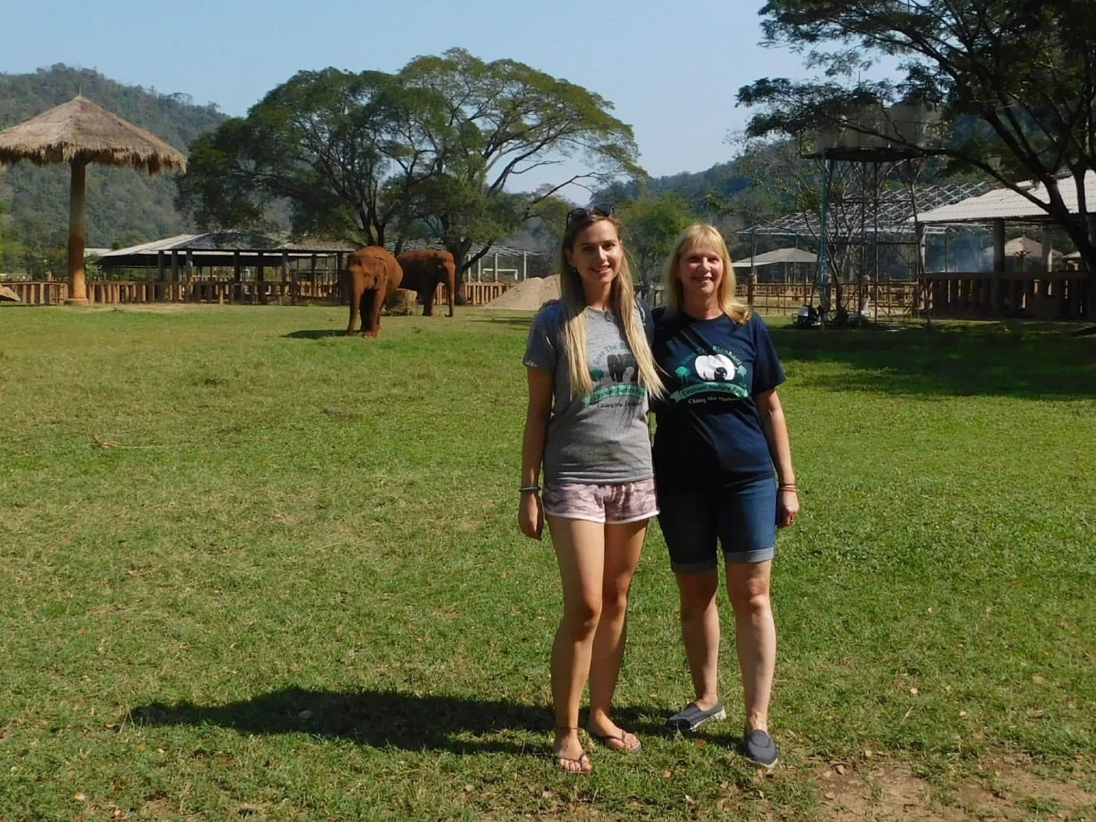 Sophie volunteering with rescued elephants, buffalo and rescue dogs at Elephant Nature Park in Chiang Mai, Thailand