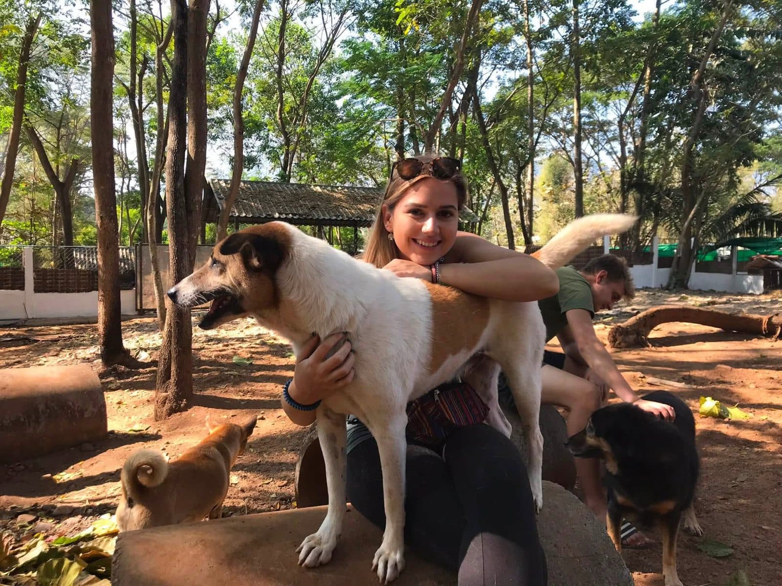 Sophie volunteering with rescued elephants, buffalo and rescue dogs at Elephant Nature Park in Chiang Mai, Thailand