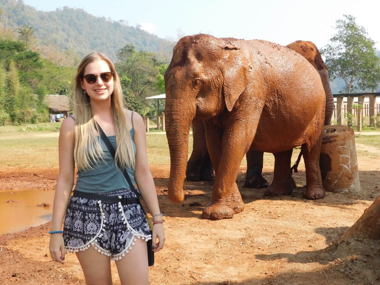 Sophie volunteering with rescued elephants, buffalo and rescue dogs at Elephant Nature Park in Chiang Mai, Thailand