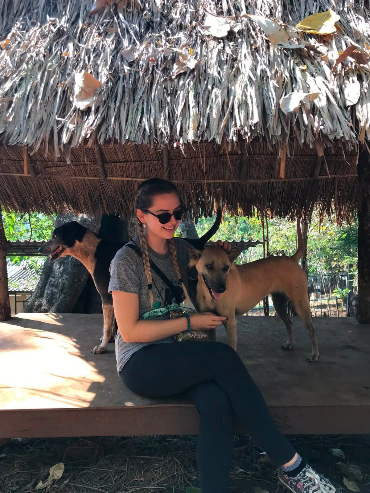 Sophie volunteering with rescued elephants, buffalo and rescue dogs at Elephant Nature Park in Chiang Mai, Thailand