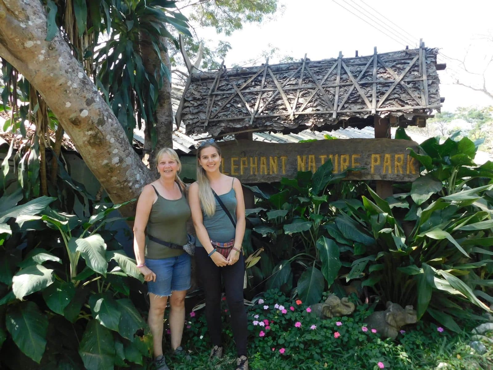 Sophie volunteering with rescued elephants, buffalo and rescue dogs at Elephant Nature Park in Chiang Mai, Thailand