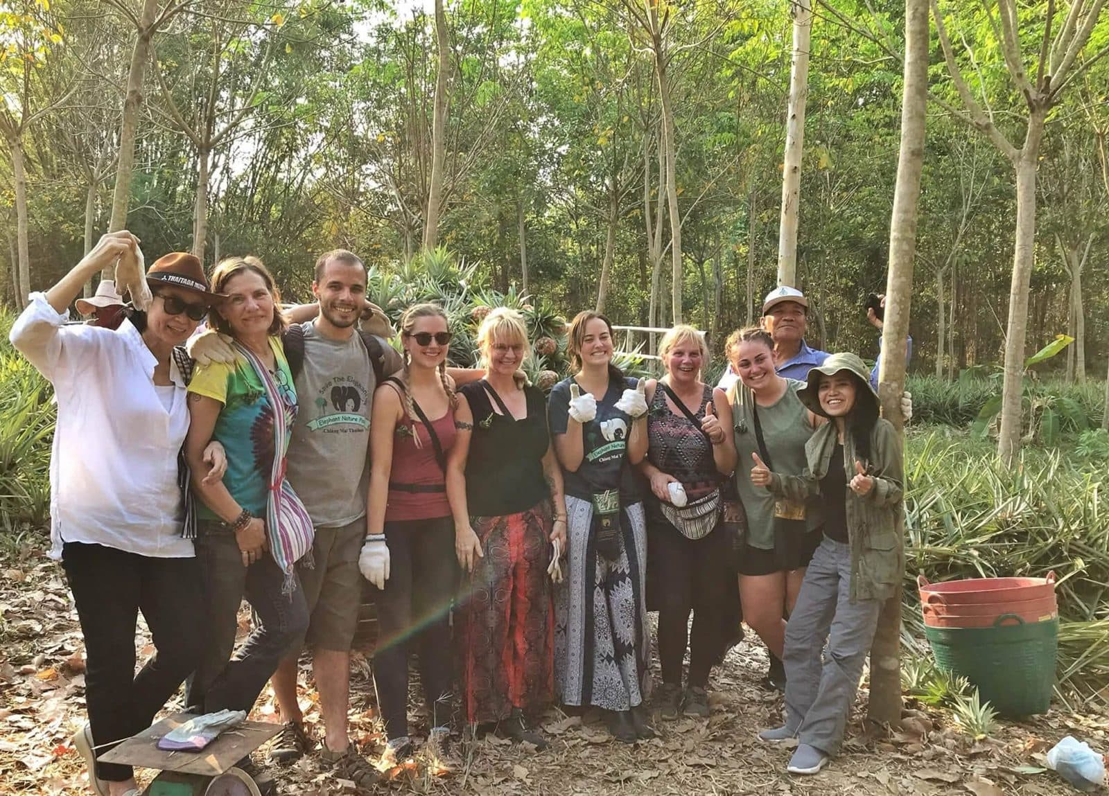 Sophie volunteering with rescued elephants, buffalo and rescue dogs at Elephant Nature Park in Chiang Mai, Thailand